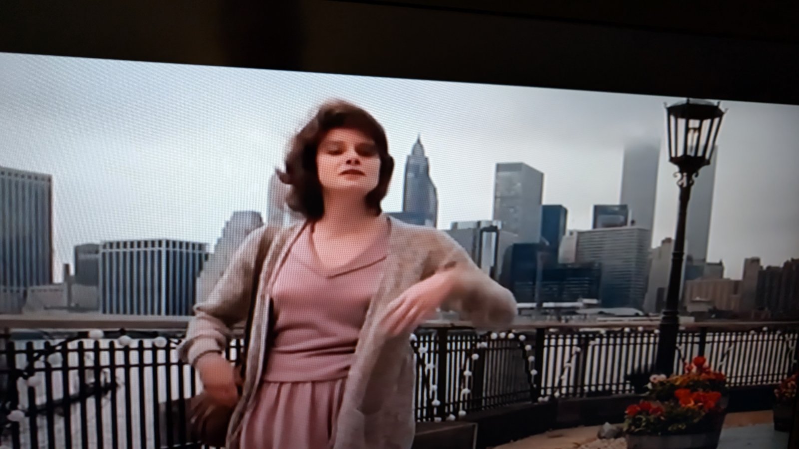Terms of Endearment (1983): skyline cameo of the World Trade Center, both towers (with antenna)